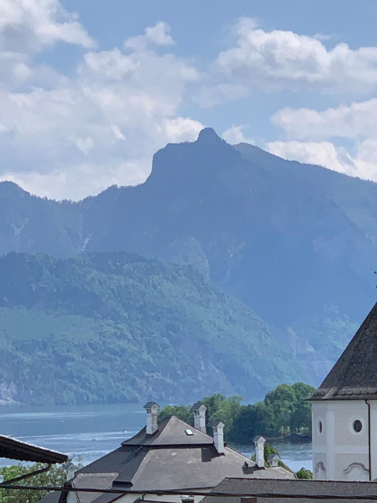 Traum Panorama Apartment Mit Berg & Seeblick Altmünster Esterno foto